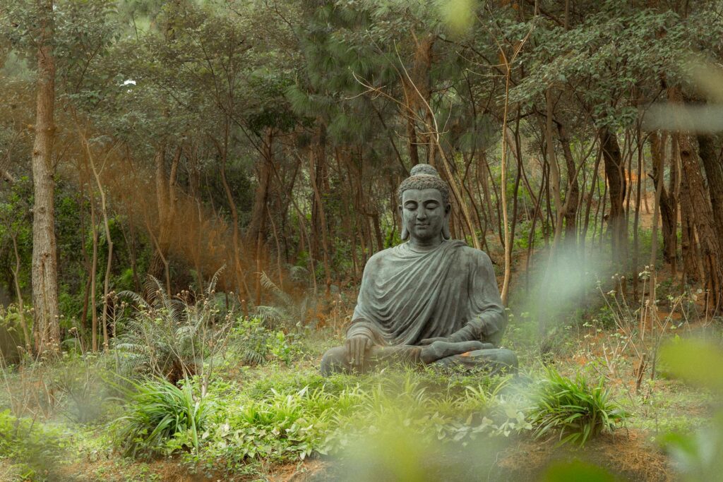 Im Hier und Jetzt Meditation